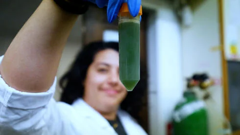 Agricultural Innovation: Israeli Startup Targets Global Cooling with Green Solutions