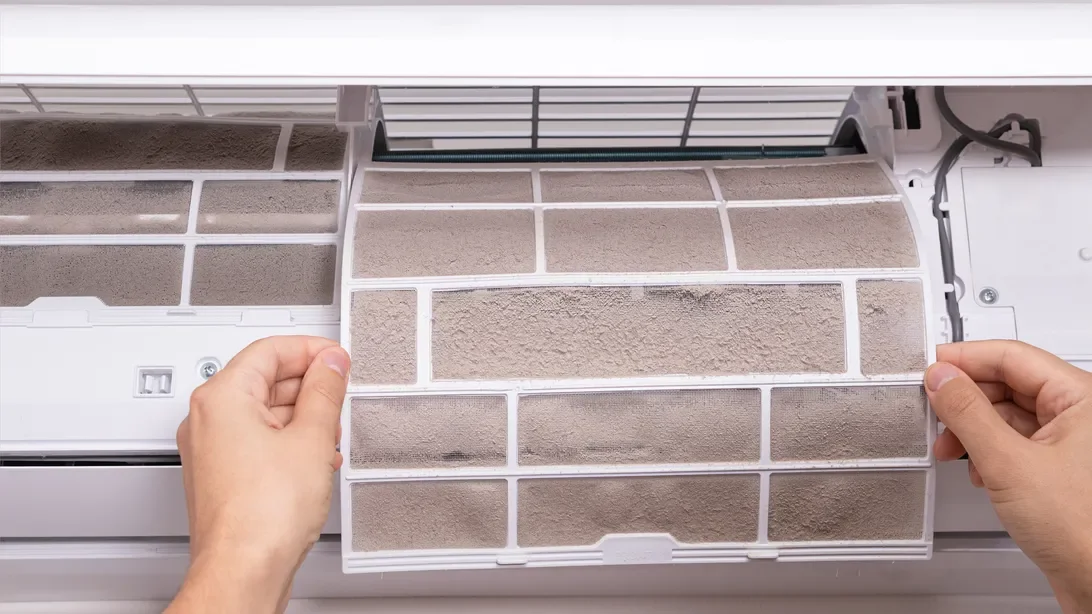 Allergists Offer Essential Tips to Tackle May's Allergy Surge and Symptoms