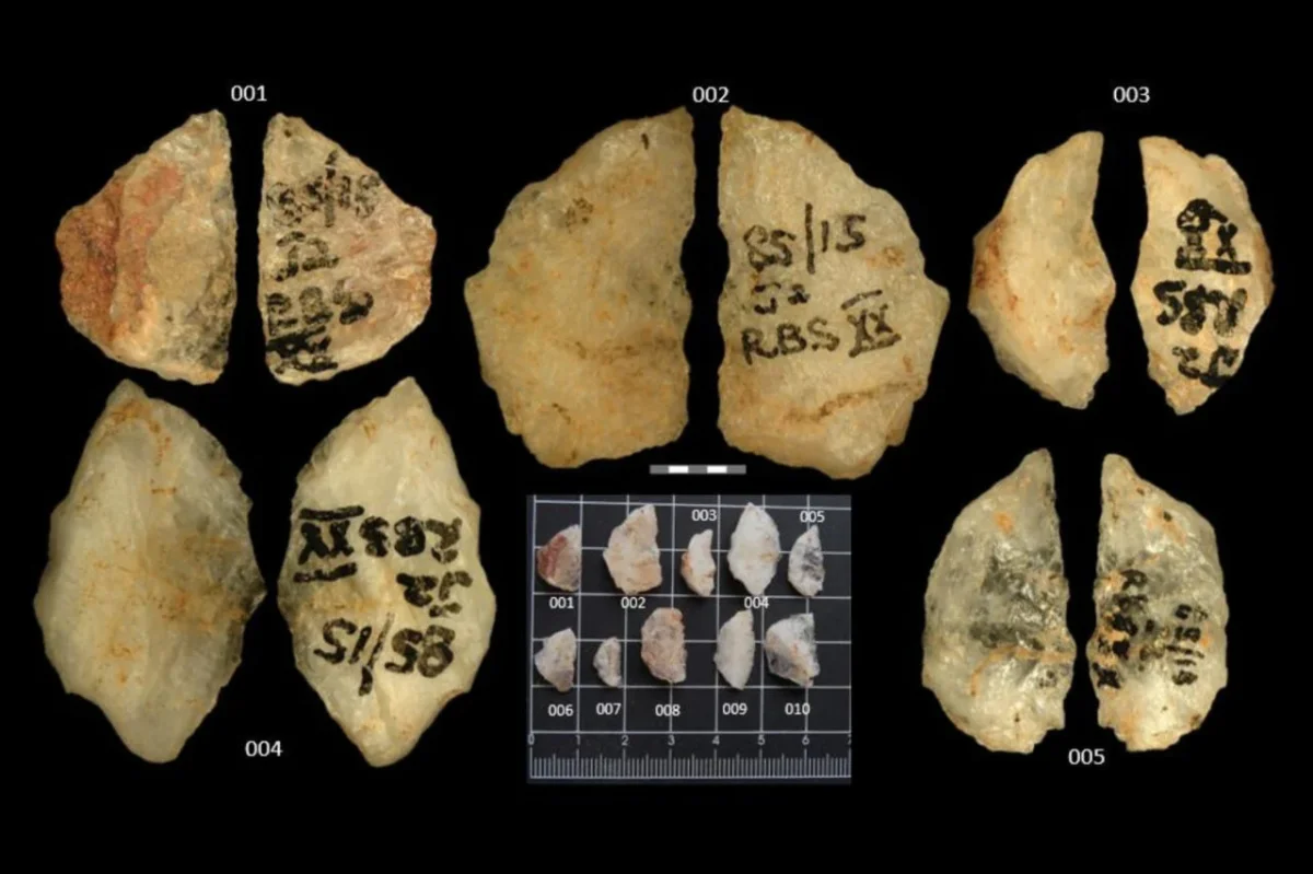 Ancient Hunters Used Poison-Laced Arrows 25,000 Years Ago, Shifting Archaeological Timelines
