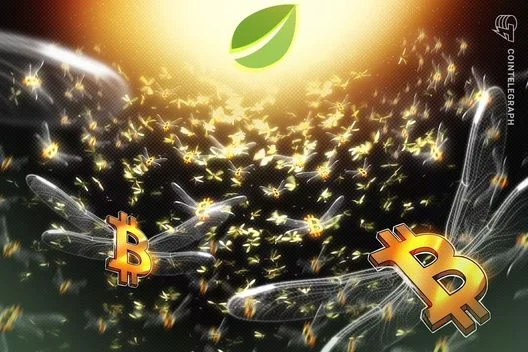 Bitcoin Long Positions Soar on Bitfinex as Traders Eye Potential $100K Surge