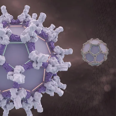 Breakthrough at UW lab paves way for enhanced genetic medicine delivery systems