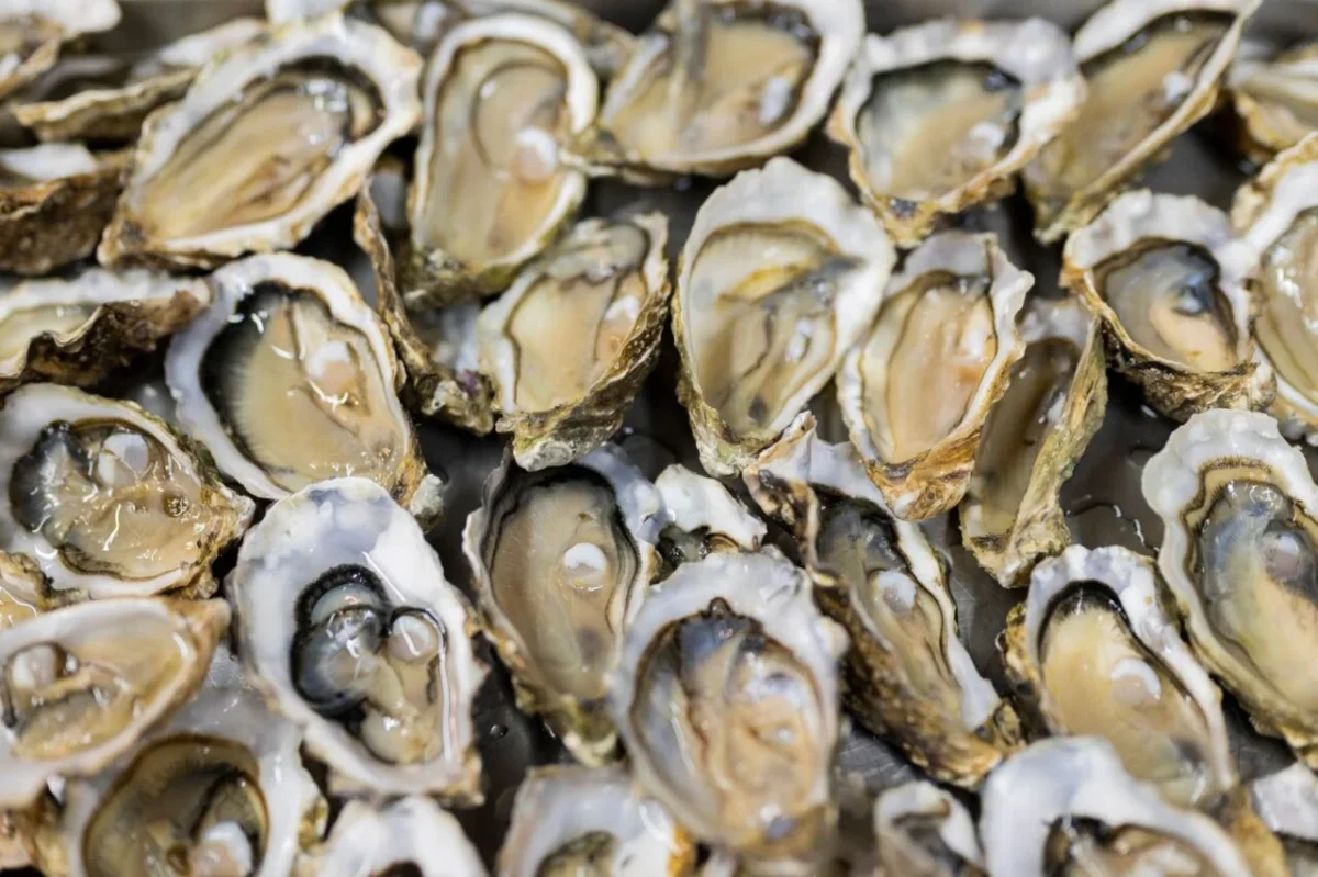 CDC Alerts Public as Salmonella Outbreak Linked to Raw Oysters Affects Multiple States