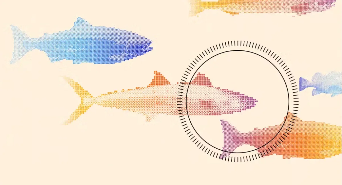 Chefs Embrace Startup's Fish-Killing Robot, Sparking Debate on Sustainability