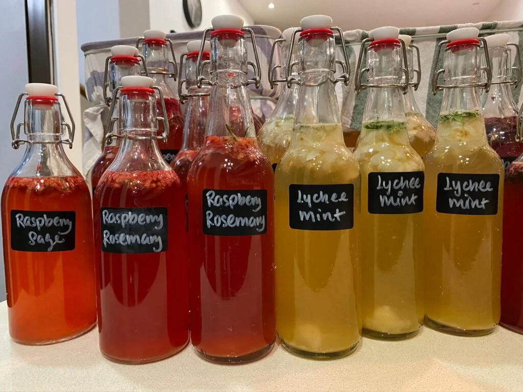 Couple's Kombucha Venture Targets 1,000 Liters Monthly, Challenging Local Market Leaders