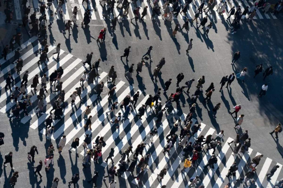 Global Population Decline: Implications for Economy and Resources by 2064