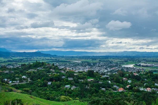 Horizon Networks and Rhizome's AI Tool Promises to Revolutionize Energy Grid Planning