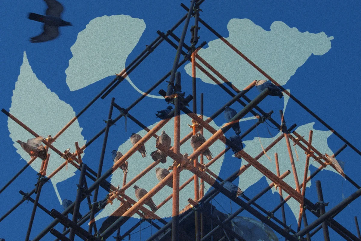 Investors Eye Strong Growth Potential Amid Economic Recovery