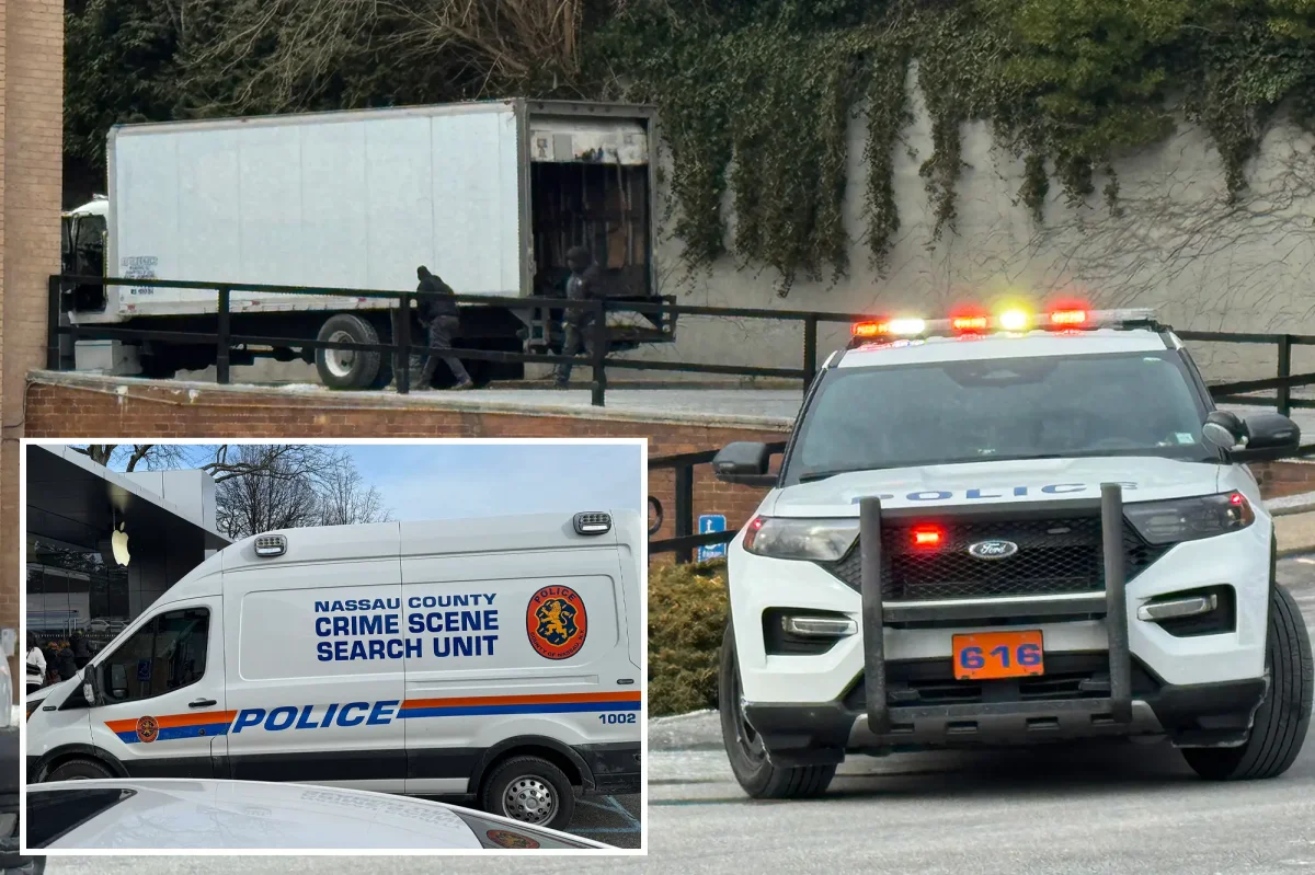 Long Island Mall Heist: Armed Thieves Steal Apple Products in Daylight Robbery