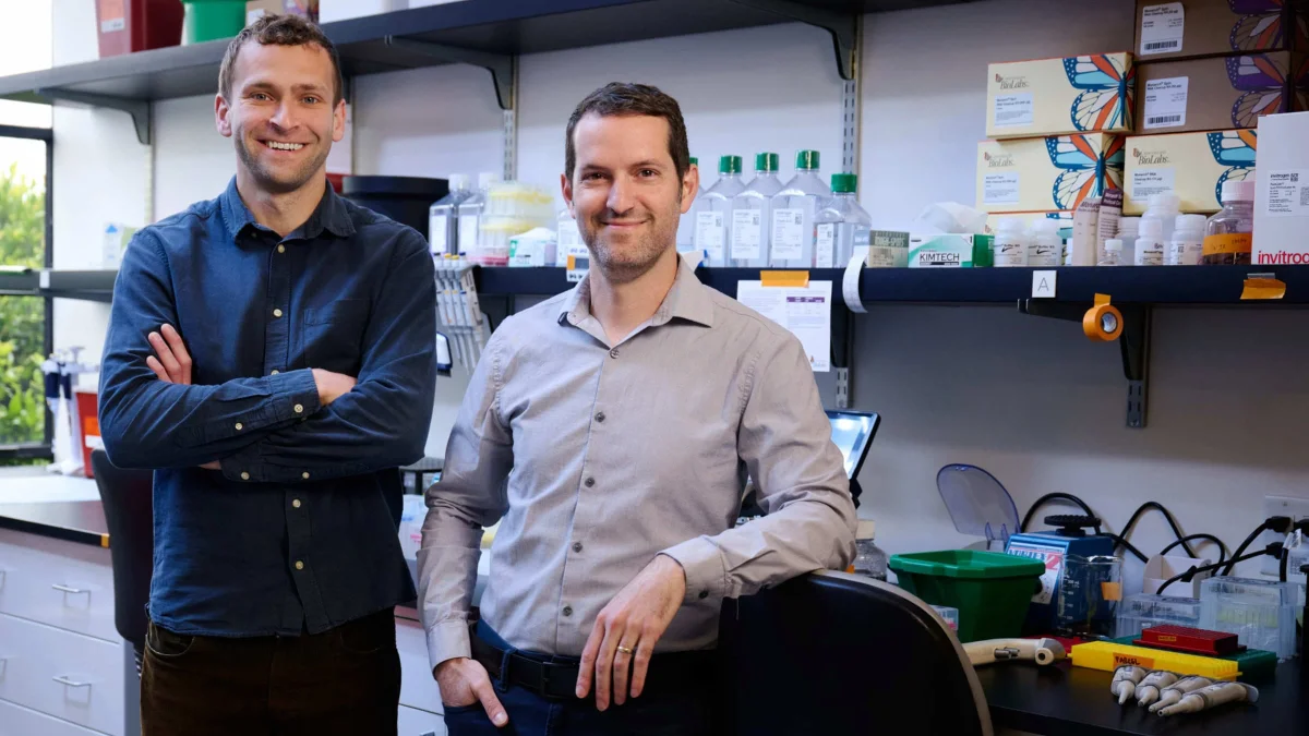 mRNA Therapies Set for Breakthrough as Startup Targets Durability Challenges