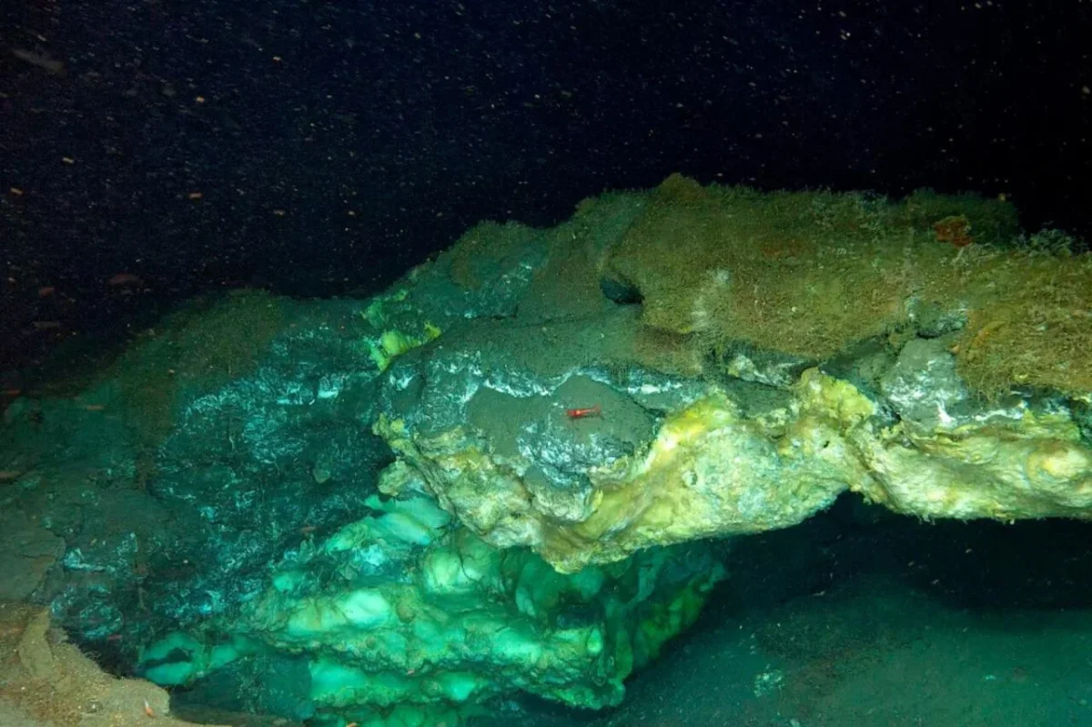 New Arctic Vent Discovery Reveals Thriving Ecosystem at Unprecedented Depths