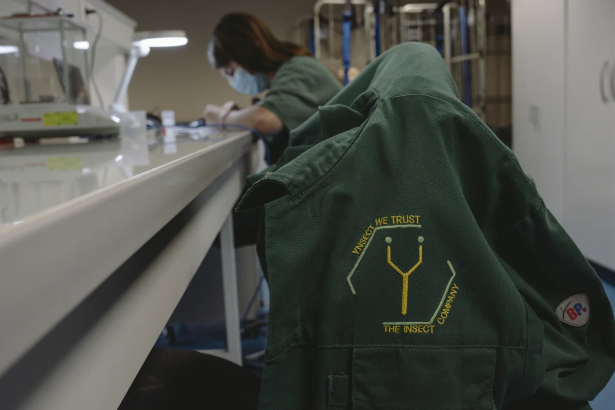 Ÿnsect's $600M Dream Shatters: The Struggles of Insect Farming in Today’s Market