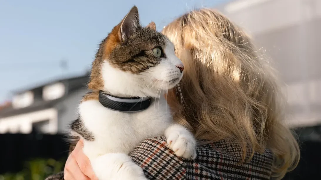 Pet owners now have access to advanced health insights with innovative smart collars