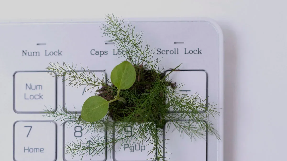 Sustainable Fashion Revolution: How AI Startups Are Reshaping the Industry Now