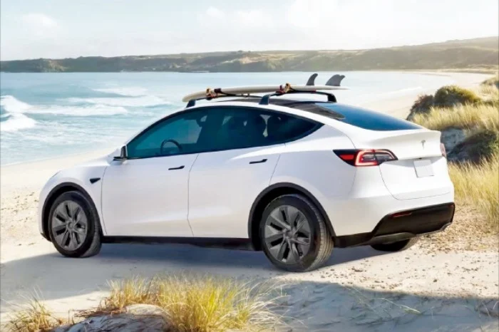 Tesla and BYD reshape South Korea's auto market, pushing foreign sales to new heights