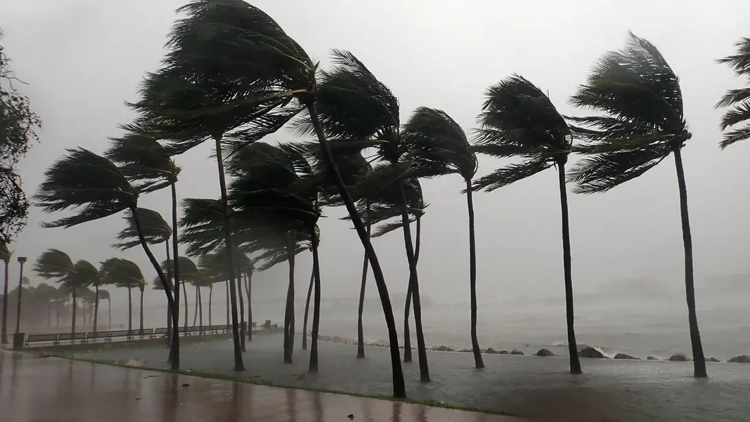 Top Weather Apps for Tracking Tropical Storms: Stay Prepared This Summer