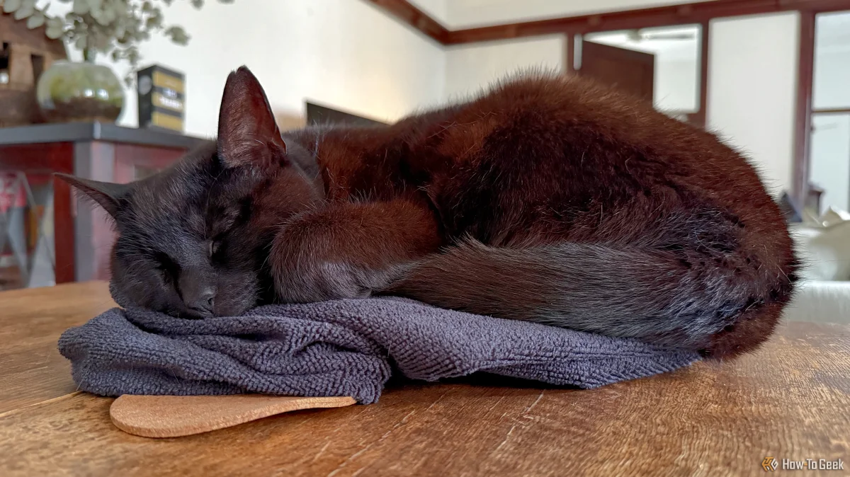 Transform Your Mornings: 4 Smart Home Features That Boost Your Wake-Up Routine