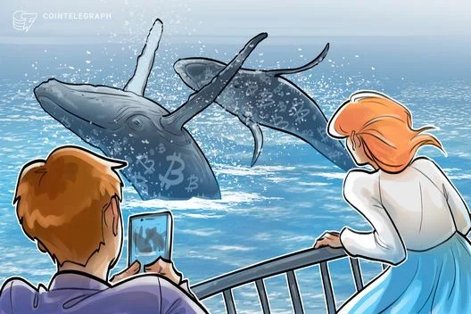 Whale and Shark Investors Accumulate 61,000 BTC in Response to Market Volatility