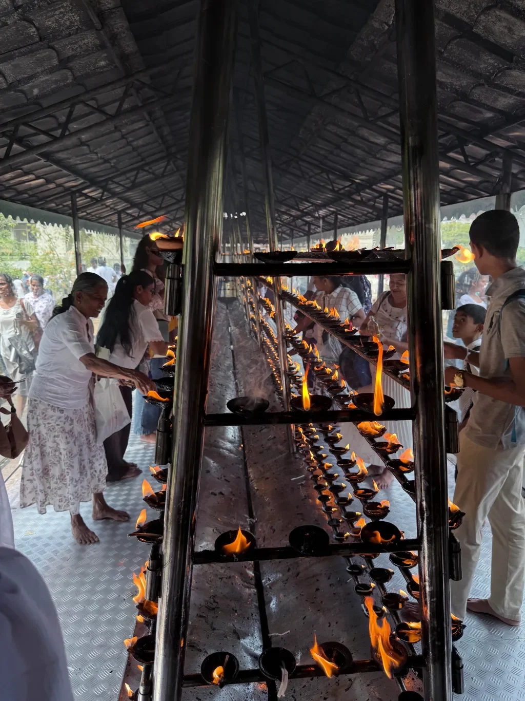 Winter Solstice Inspires Reflection on Nature's Cycles and Community Connections